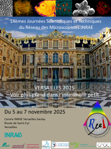 Affiche JST 2025 Château de Versailles