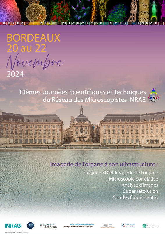 Affiche JST 2024 Bordeaux