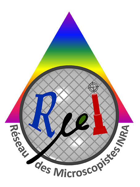 Logo RµI