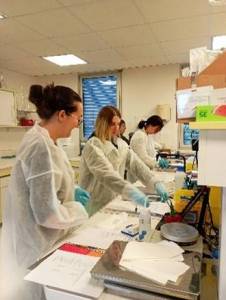 photo formation immunohistologie