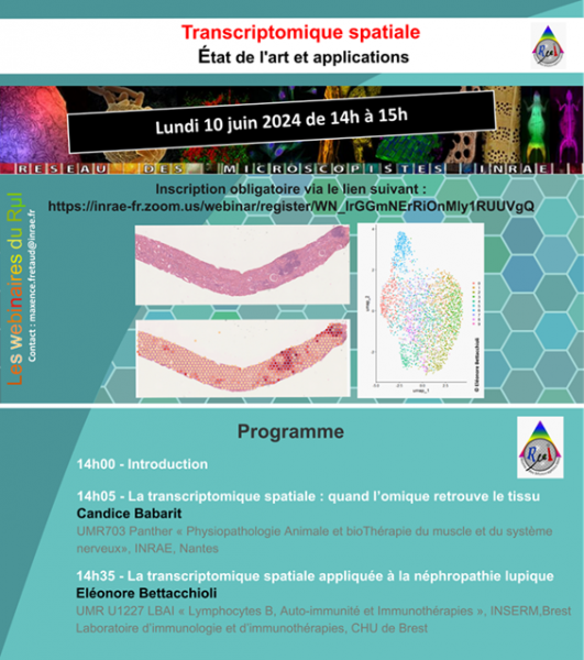 Annonce webinaire 2024