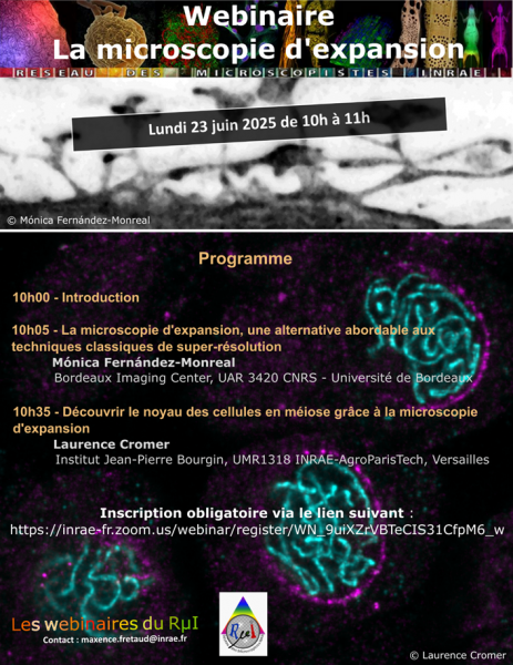 Annonce webinaire expansion