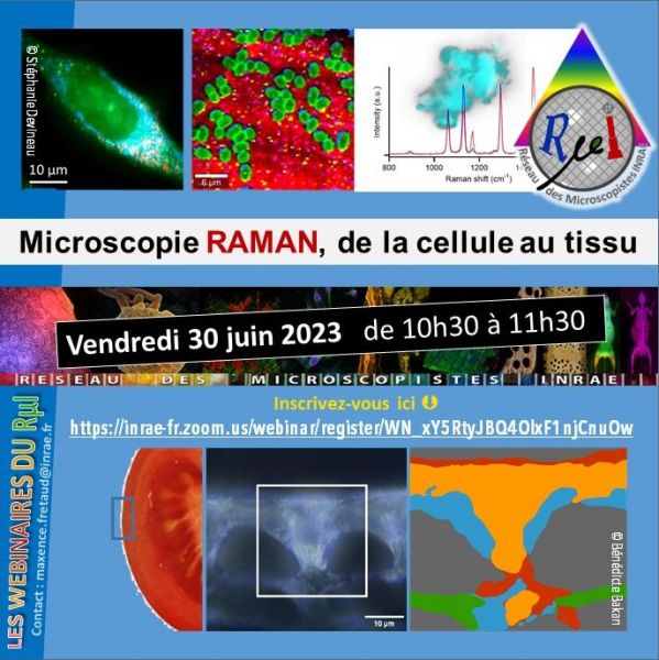 FLyer Webinaire RµI 30 juin 2023